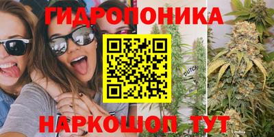 бошки Ливны