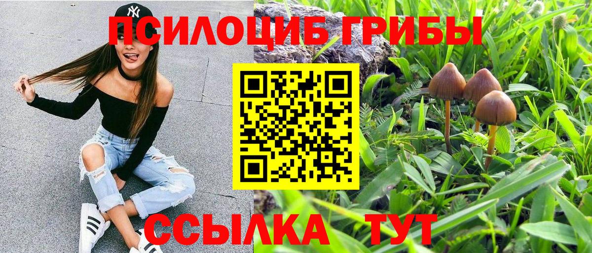 хочу наркоту  Вход с VPN  Псилоцибиновые грибы Psilocybe  Ивантеевка  Псилоцибиновые грибы ЛСД 